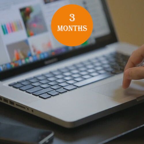 Management Plan for 3 Months